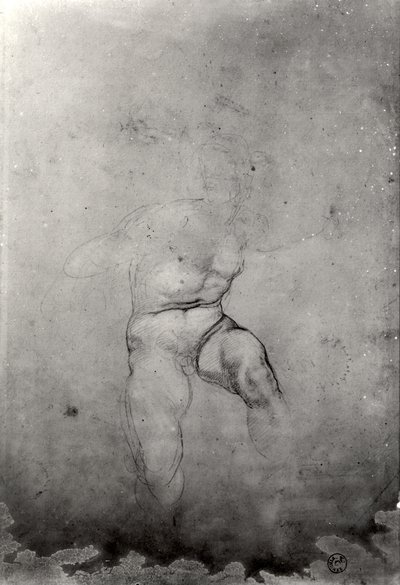 Male Nude by Michelangelo Buonarroti